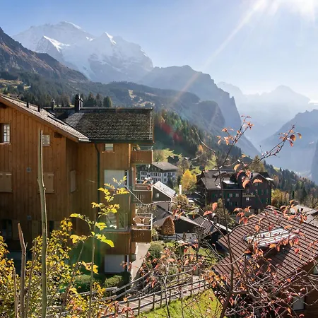 Sterndolde 1 * Wengen