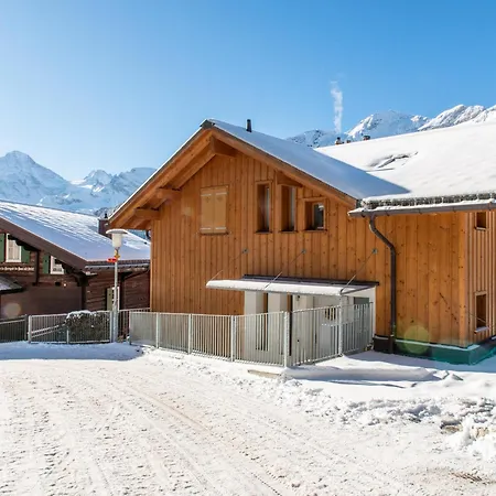 Sterndolde 1 * Wengen