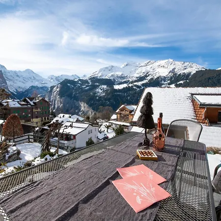 Sterndolde 1 Apartment *