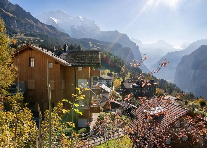 Sterndolde 1 * Wengen