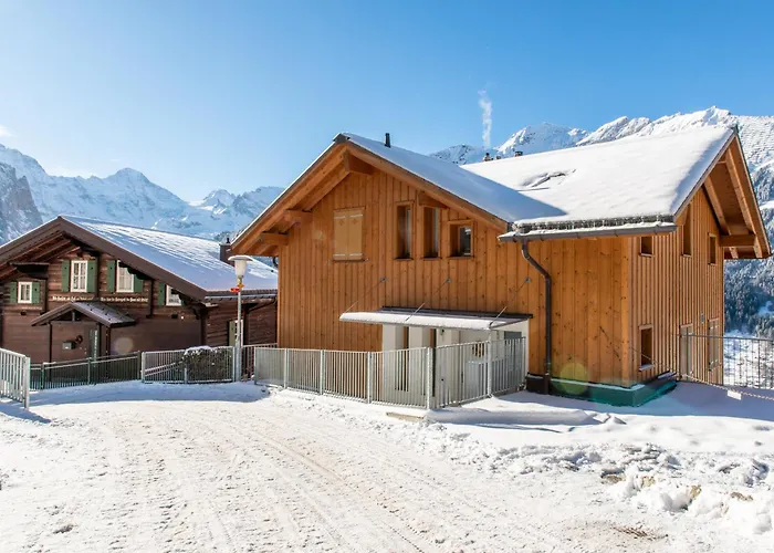 Sterndolde 1 * Wengen